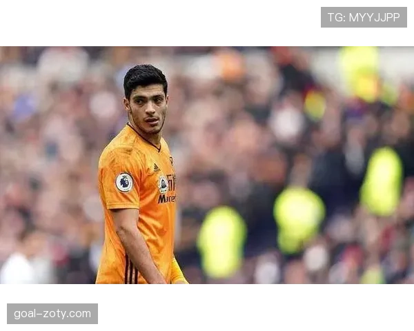 抢断机器：帕利尼亚的核心标签解析