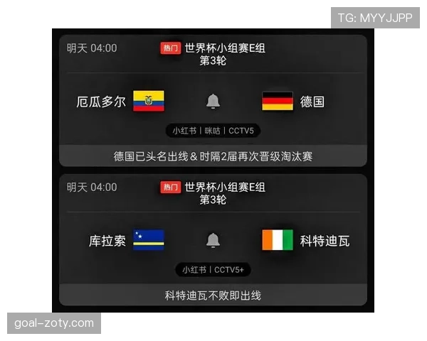 德国世界杯E组晋级回顾：头名进入淘汰赛